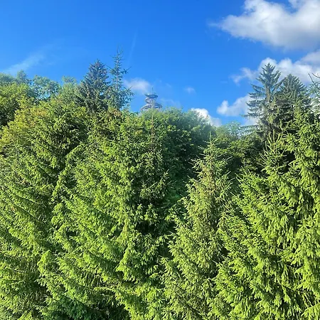 בית הארחה Tusculum Świeradów-Zdrój