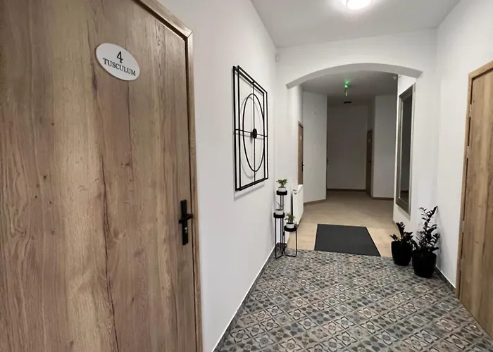 招待所 Tusculum 3*