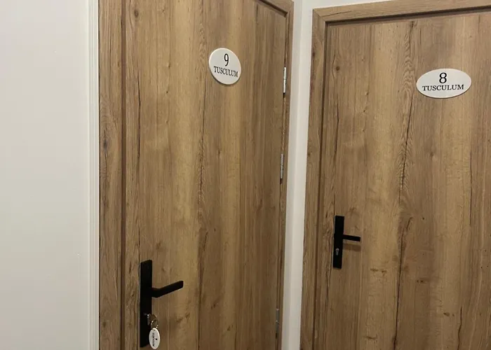 招待所 Tusculum 3*