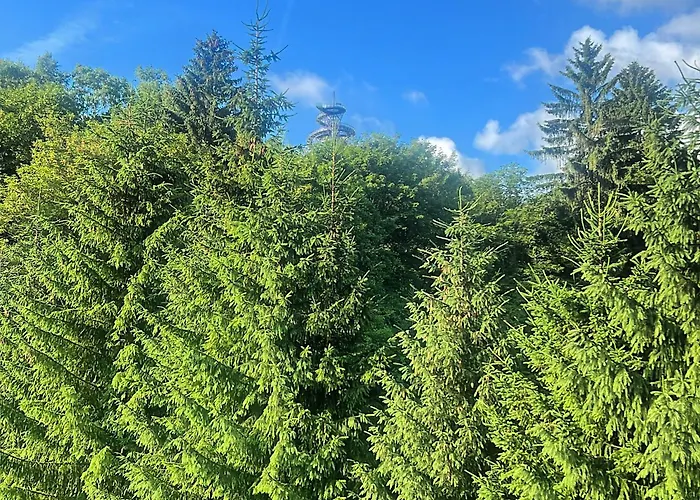 招待所 Tusculum Świeradów-Zdrój