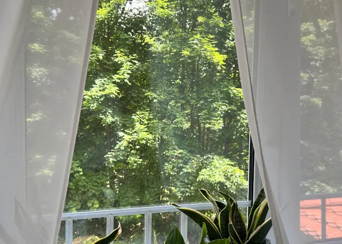 Tusculum 招待所 Świeradów-Zdrój